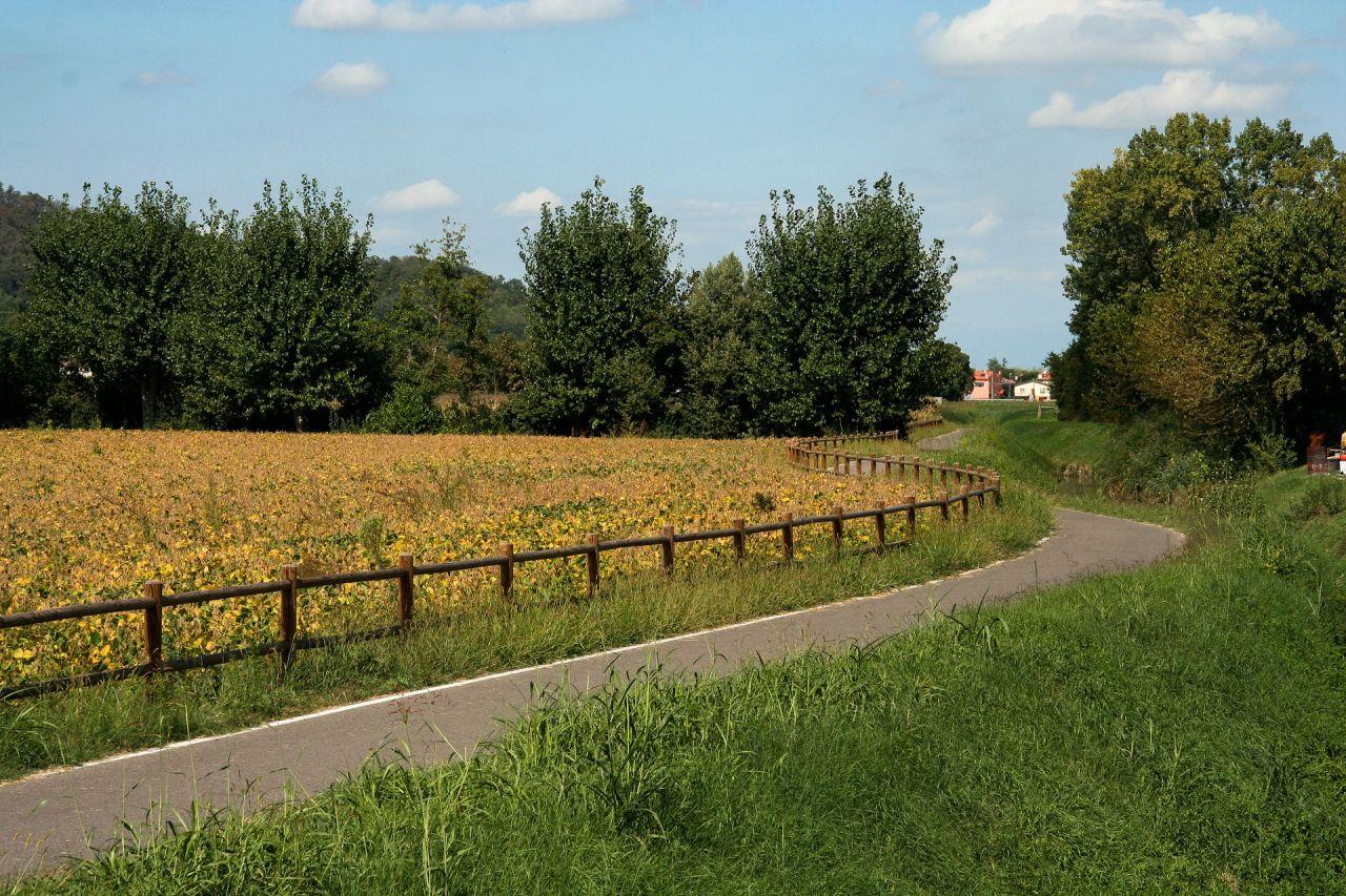 Anello ciclabile dei Colli Euganei