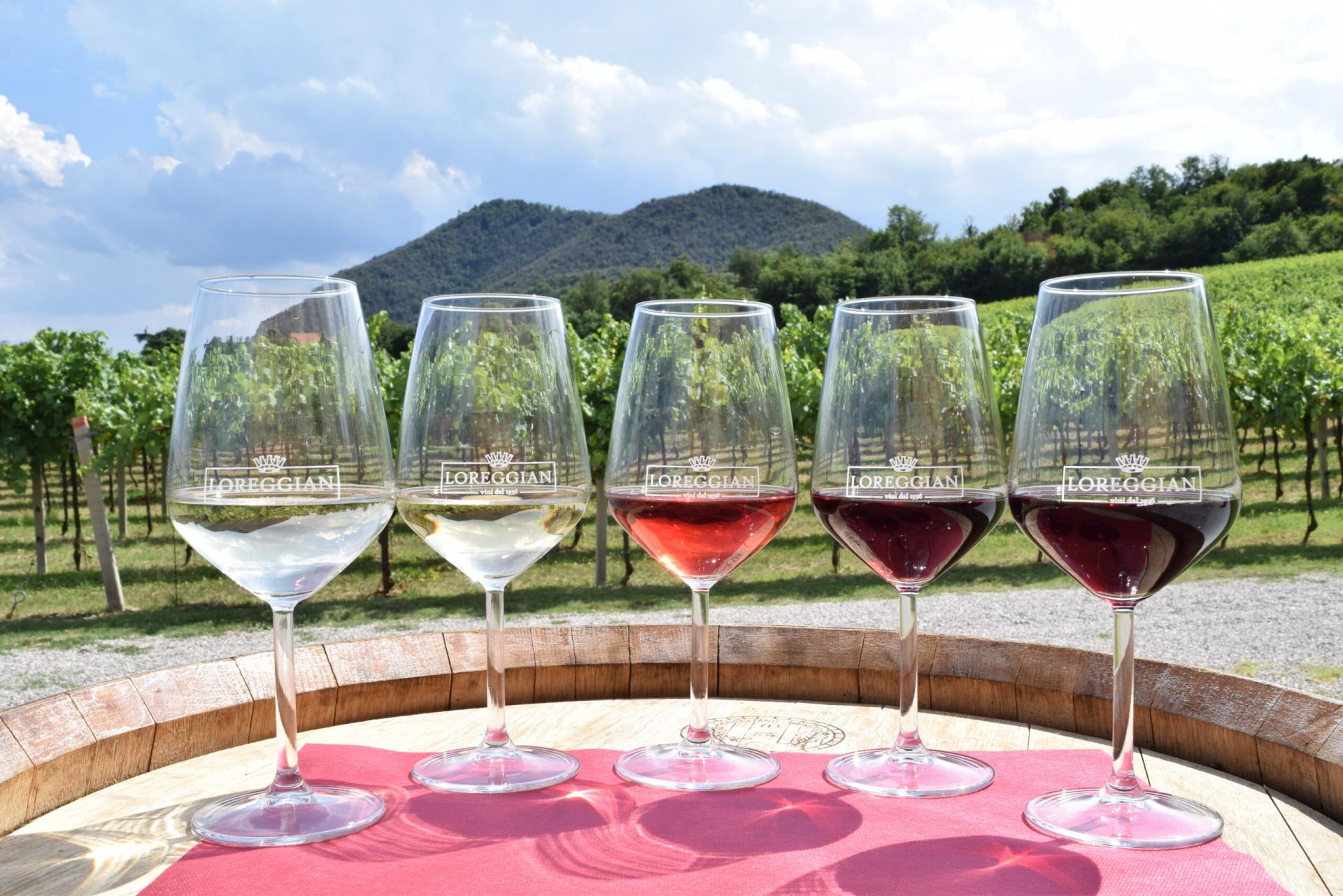 Loreggian-cantina-degustazioni-vino-colli-euganei