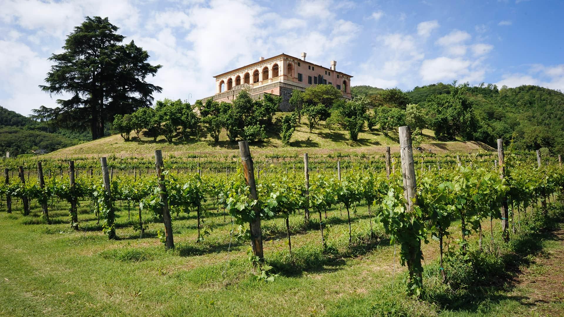 villa-vescovi-luvigliano-torreglia