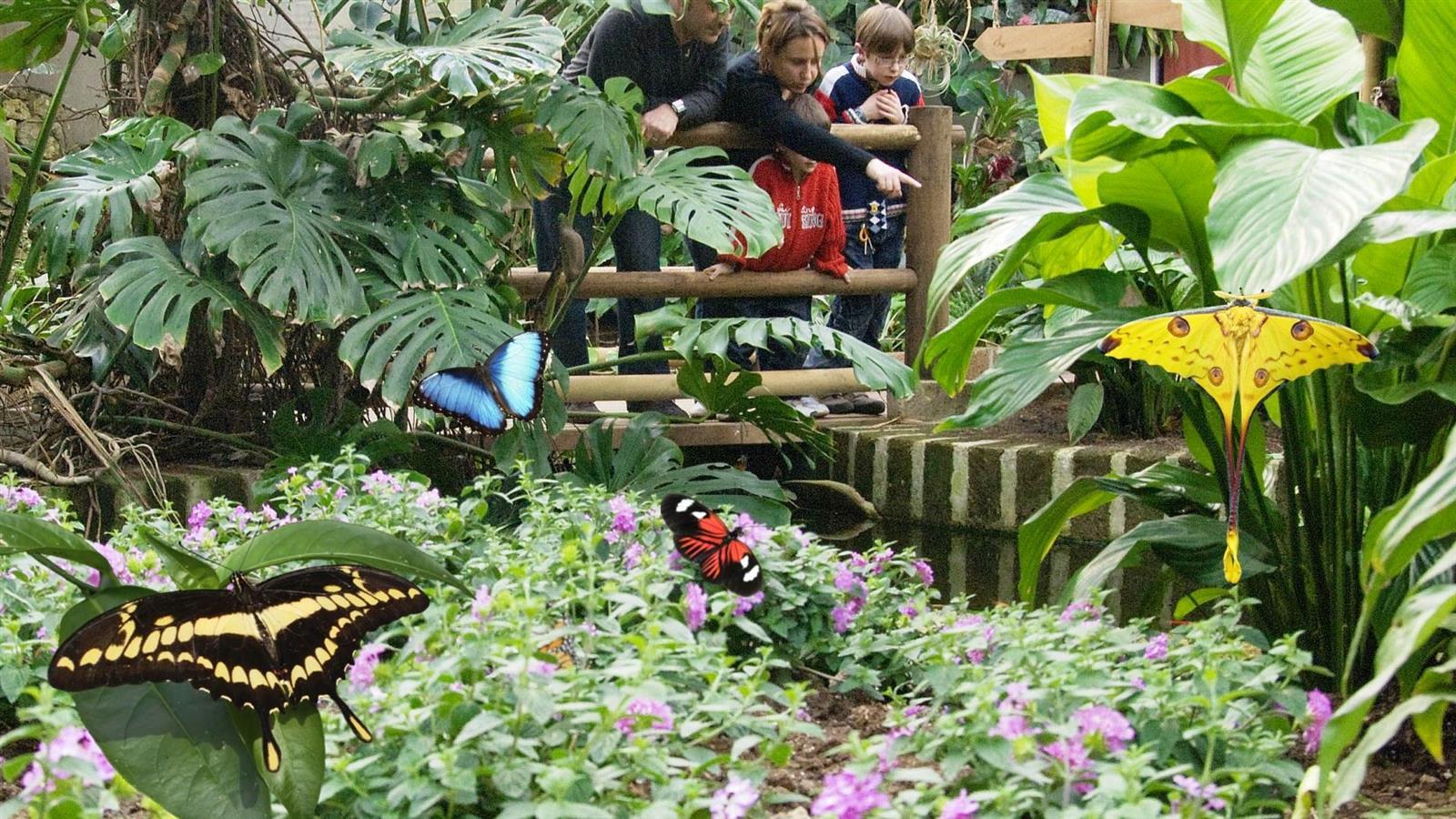 Il Butterfly Arc di Montegrotto Terme