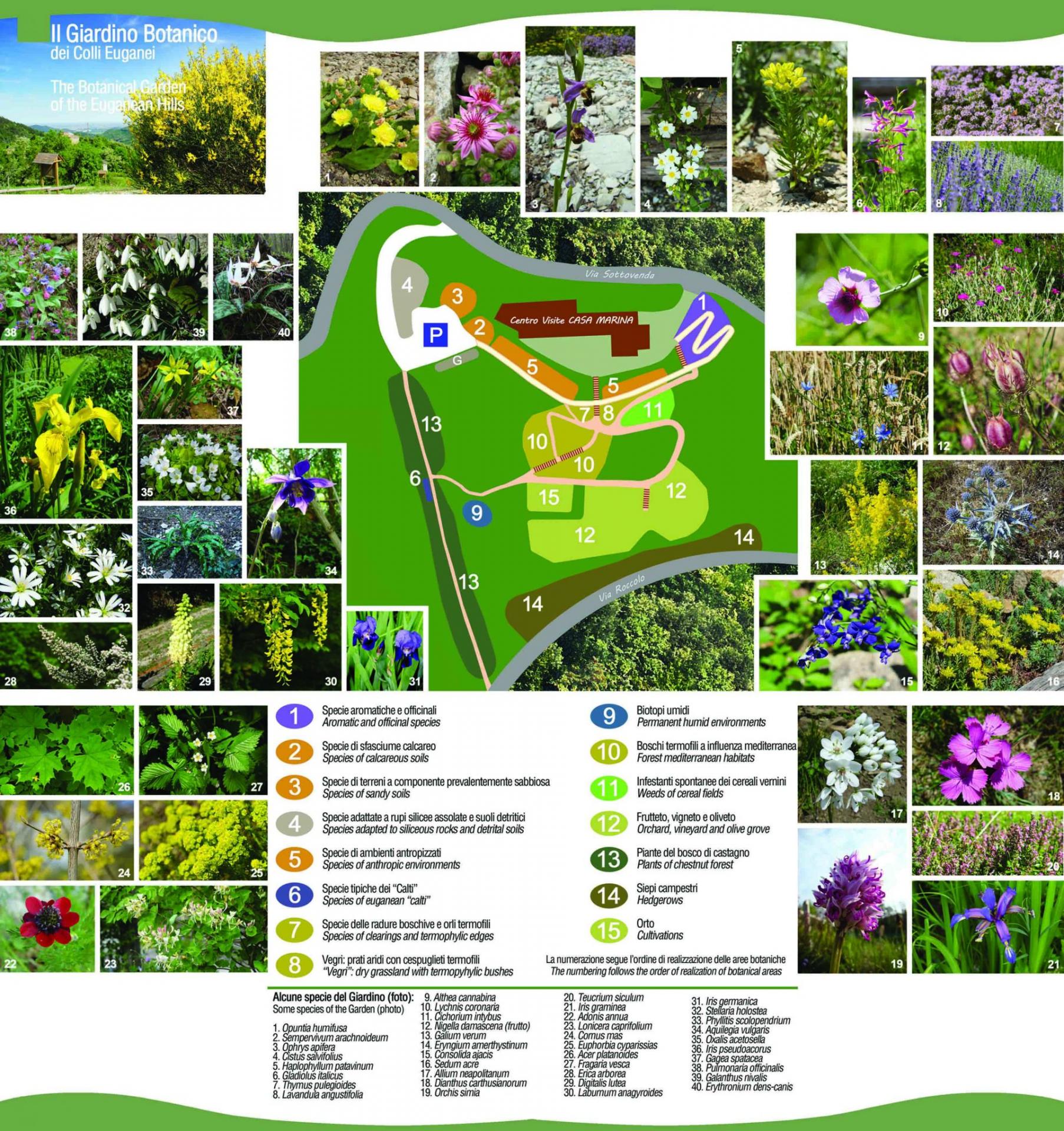 Mappa del giardino botanico di Casa Marina